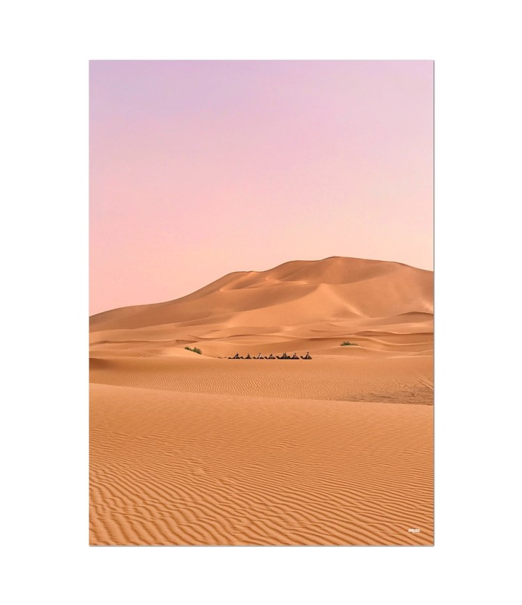 nf_85_desert-view-2