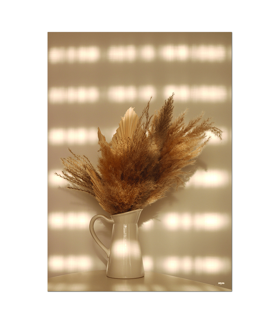 Pampas Grass In Vase