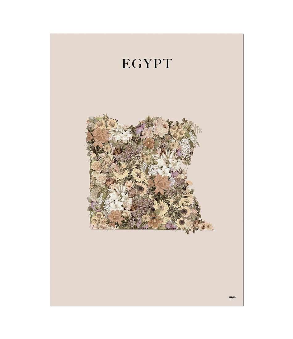 Egypt Floral Map Brown