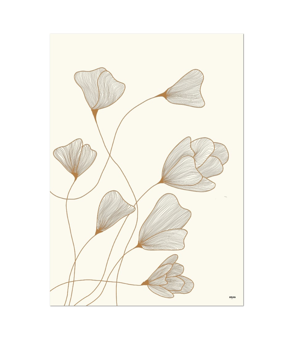 Line Art Flowers Cream