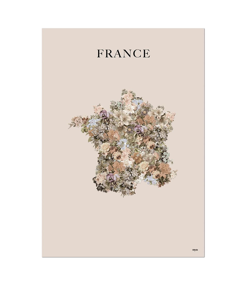 France Floral Map Brown