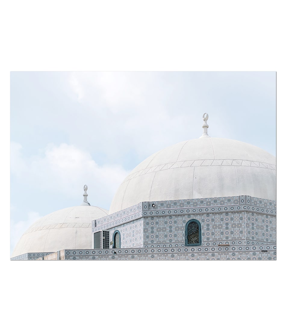 White Mosque Landscape
