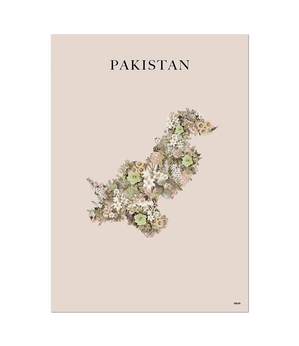 Pakistan Floral Map Brown