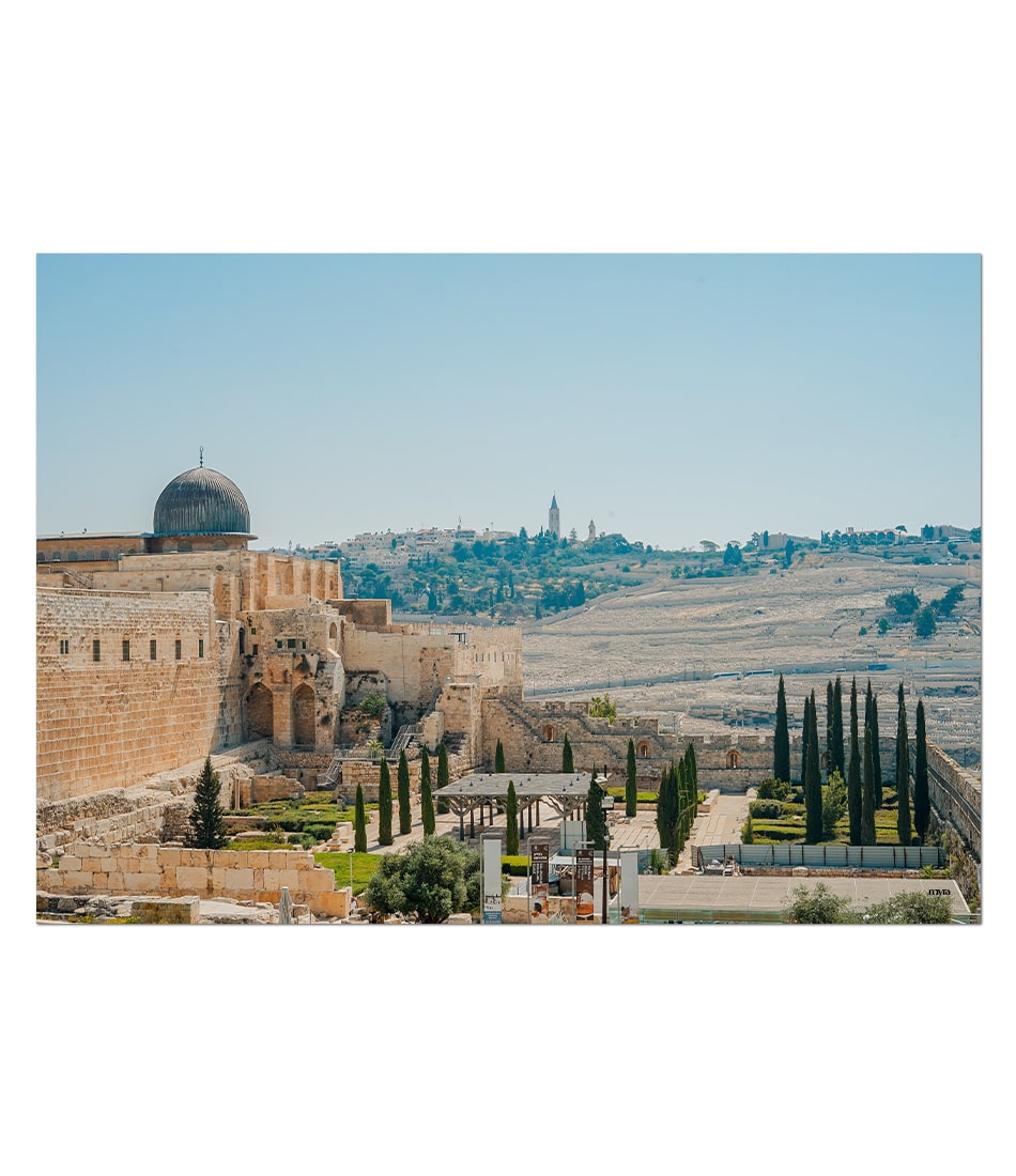 Palestine View Landscape