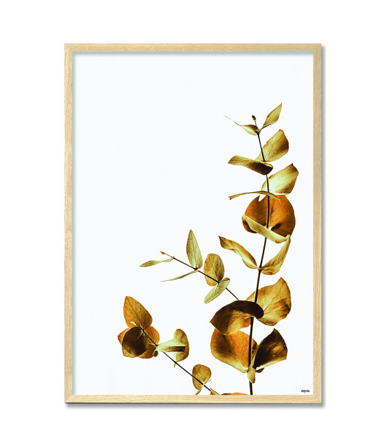 0_31_dried-leaves-oak7