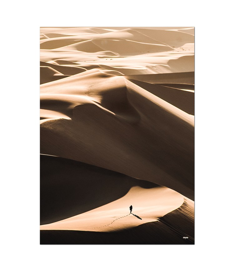 0_walking-on-desert-nf4