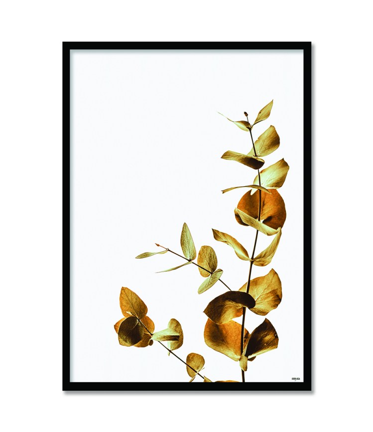 1_0031_dried-leaves-bf4