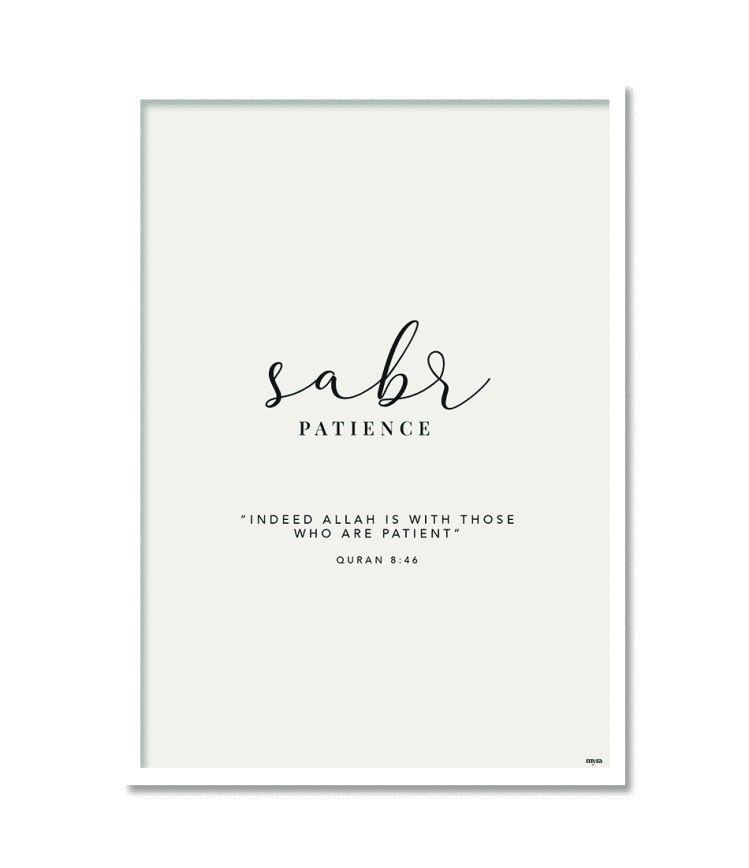 7_sabr-white49