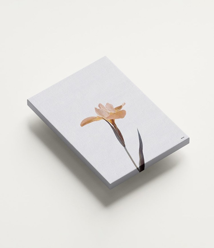 9single-flower-canvases4