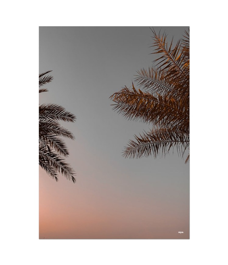 nf_8_sunset-trees-4