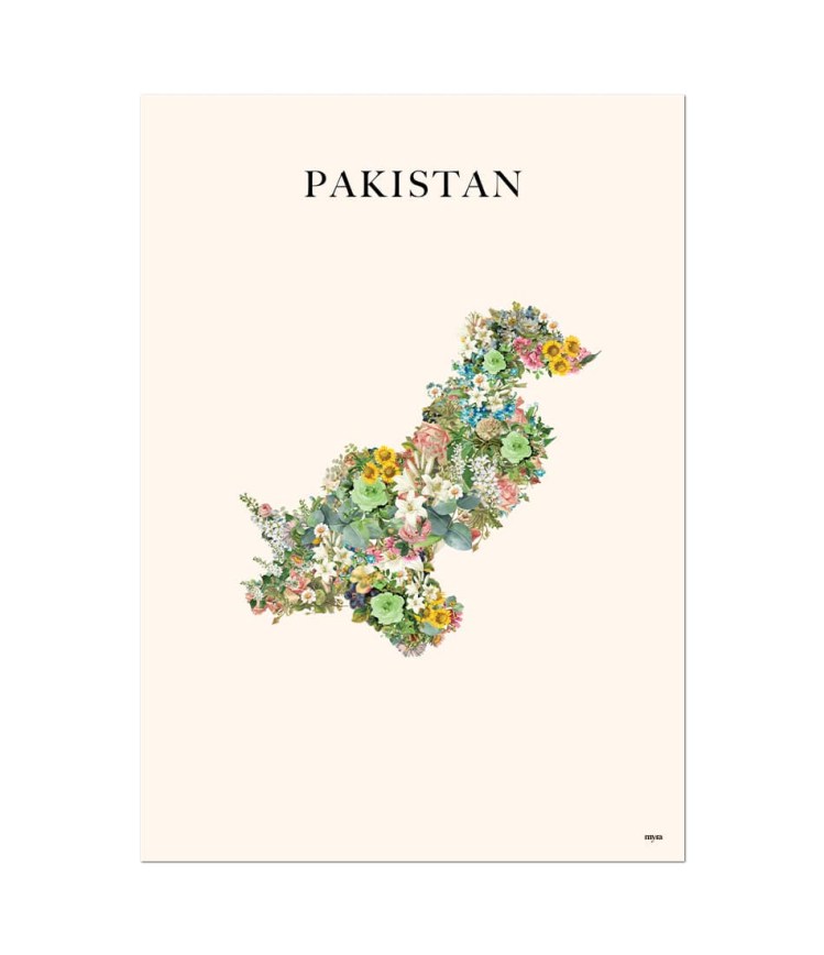 pakistan-floral-nf