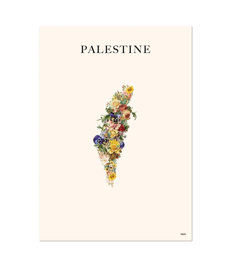 palestine-colour-nf