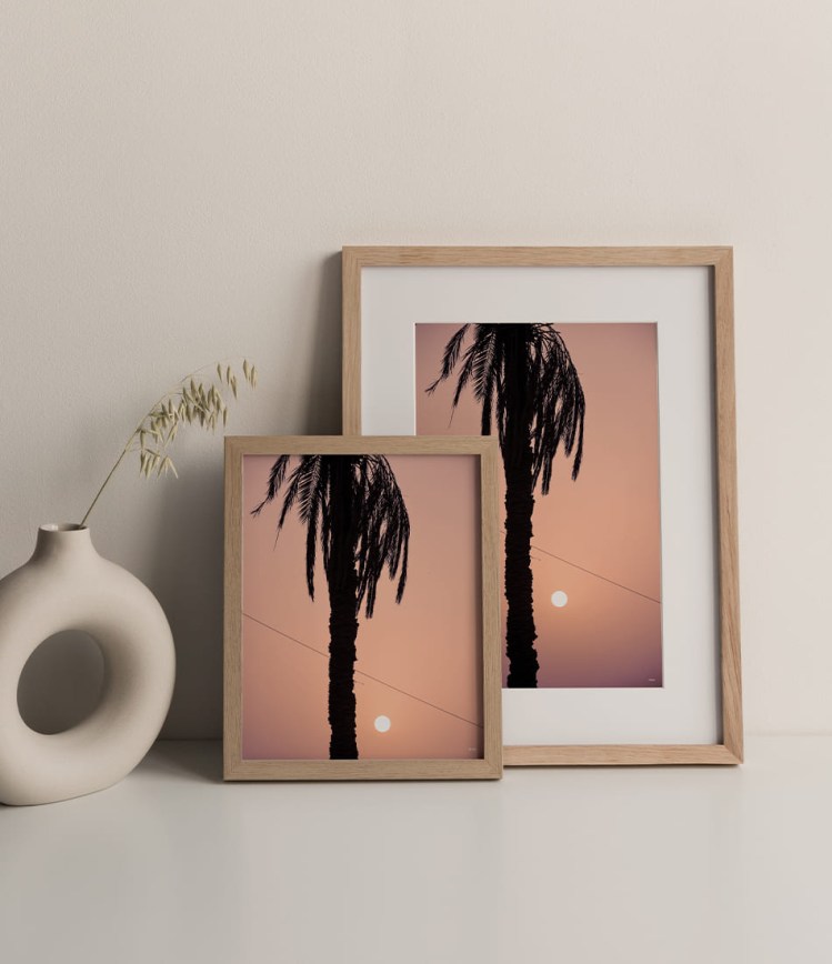 palm-tree-scene