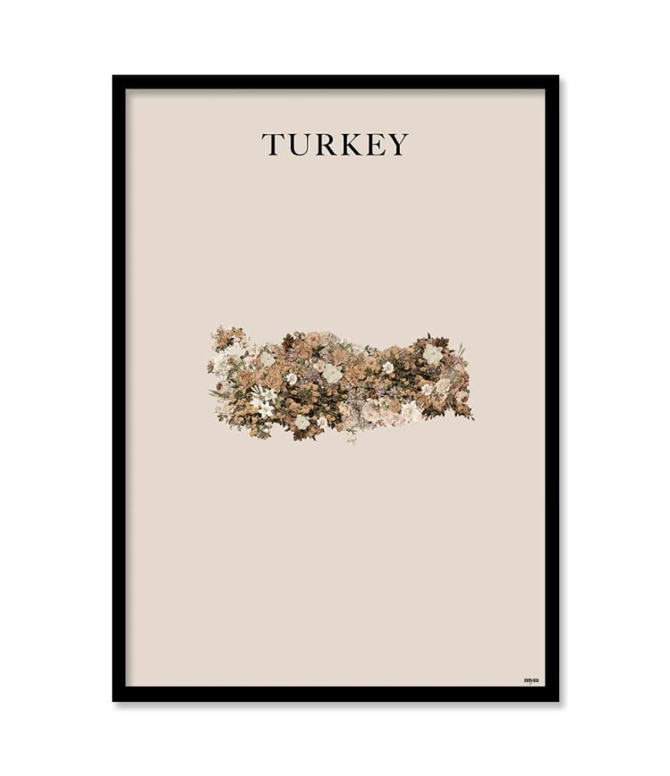 turkey-brown-bf1