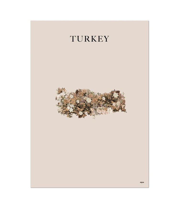 turkey-brown-nf