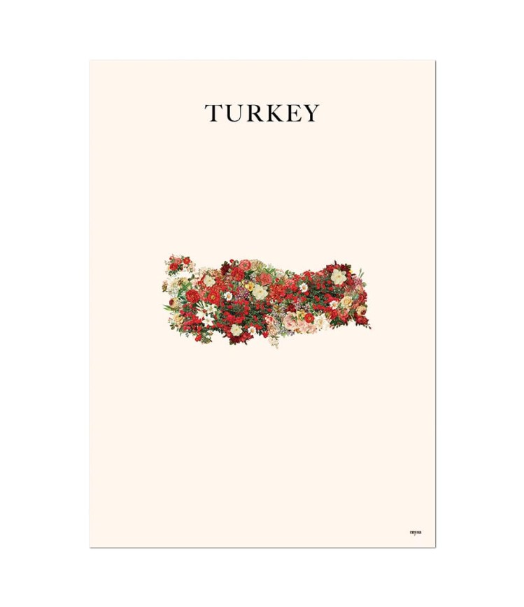 turkey-colour-nf
