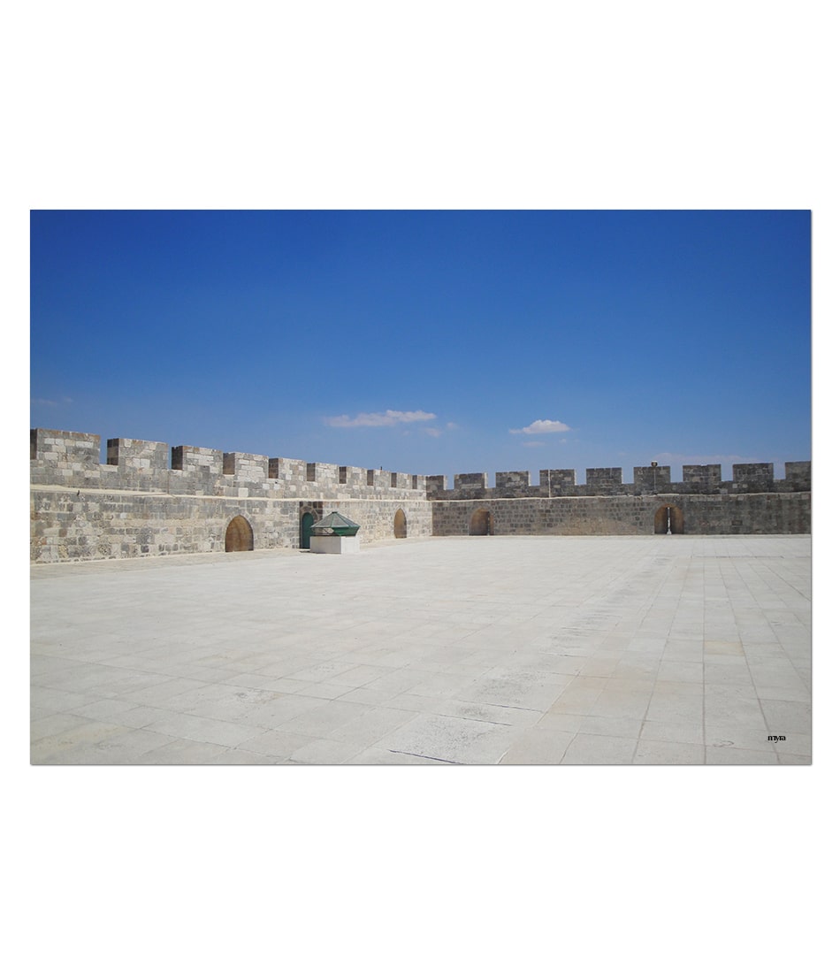 Palestine Rooftop Landscape